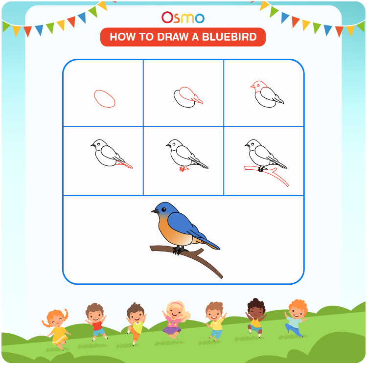 How to Draw a Bluebird A StepbyStep Tutorial for Kids