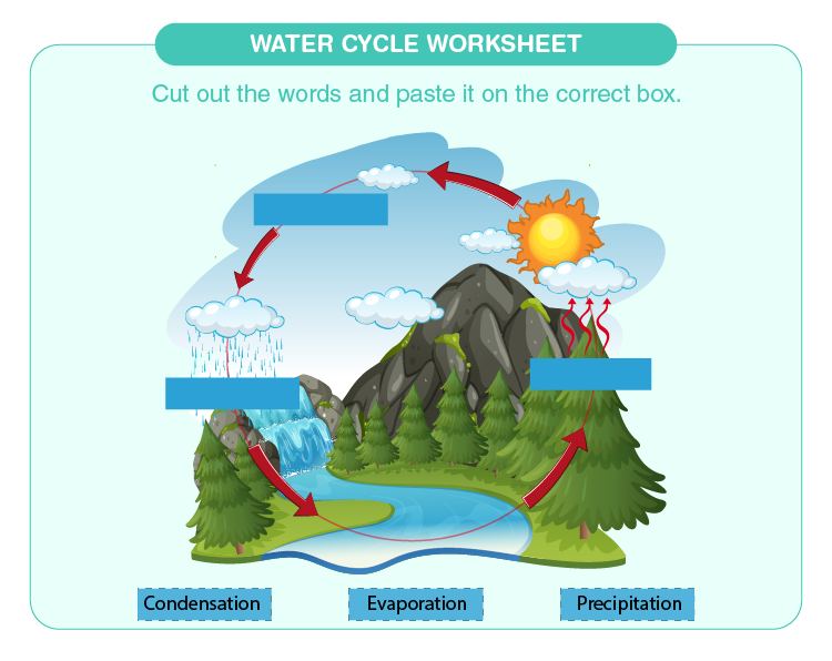 simple water cycle worksheet