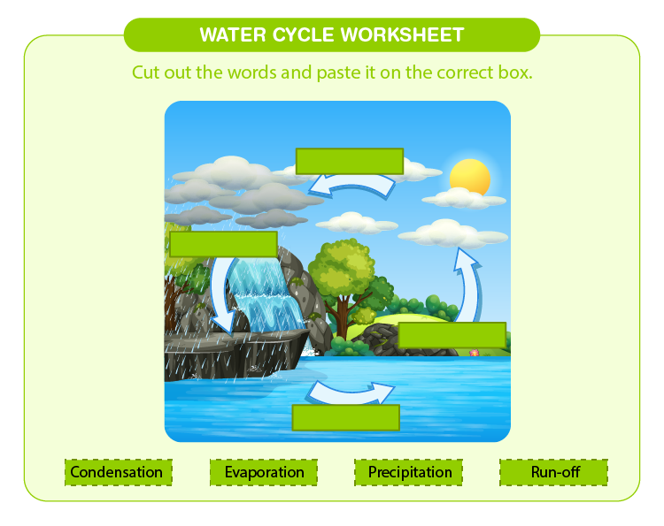 Water Cycle Diagram Vector | Water cycle diagram, Water cycle, Cycle  pictures