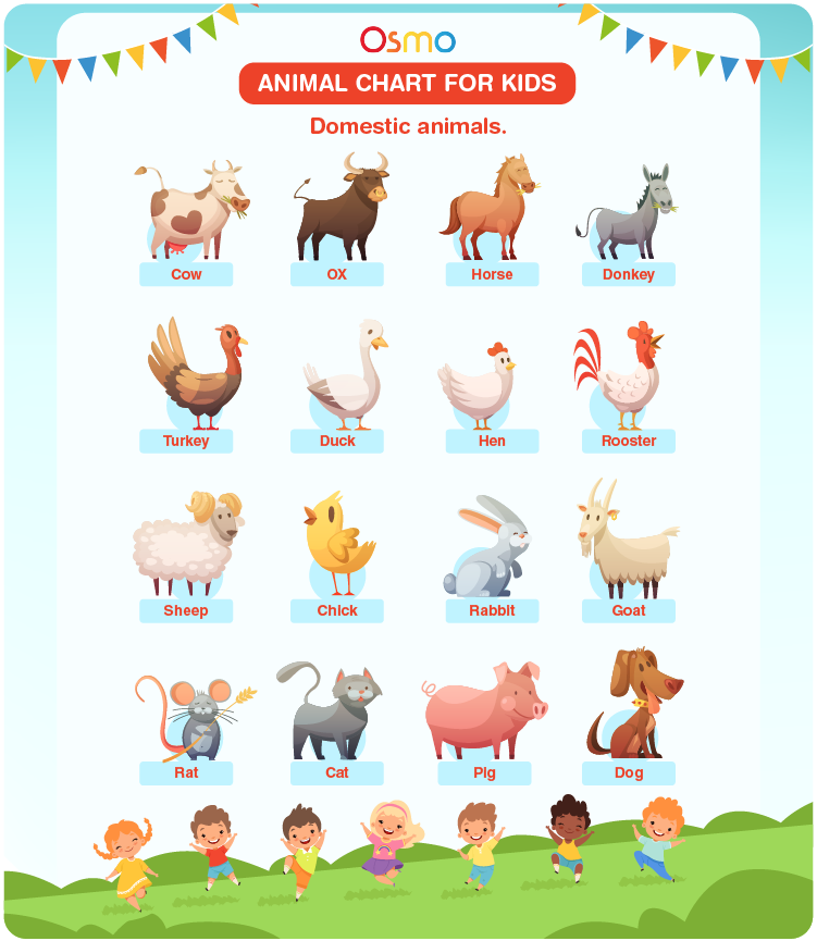 Wild Animals Pictures Chart