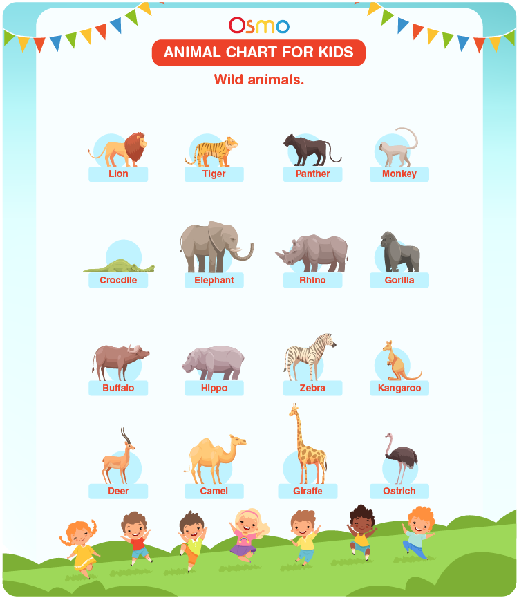 Wild Animals Name Teaching Chart