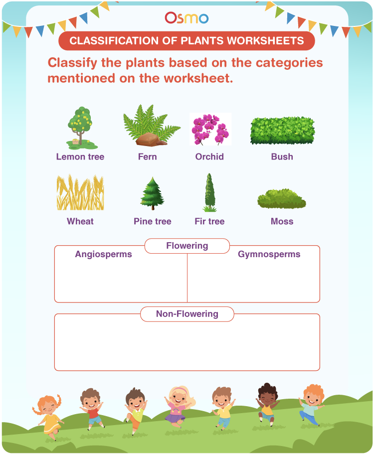 classification-of-plants-worksheet-photos