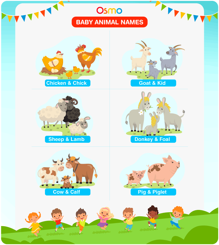 all animals names